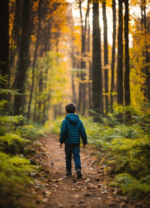 Plant, Outerwear, People In Nature, Natural Landscape, Wood, Branch