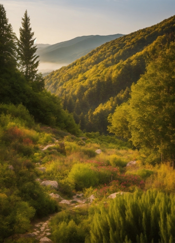 Sky, Plant, Cloud, Mountain, Natural Landscape, People In Nature