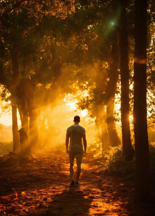 Plant, Atmosphere, People In Nature, Light, Leaf, Natural Environment