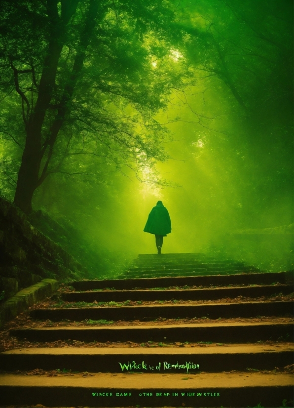 Atmosphere, People In Nature, Plant, Green, Tree, Road Surface