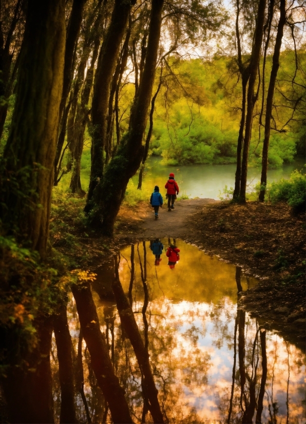 Water, Plant, People In Nature, Tree, Natural Landscape, Wood