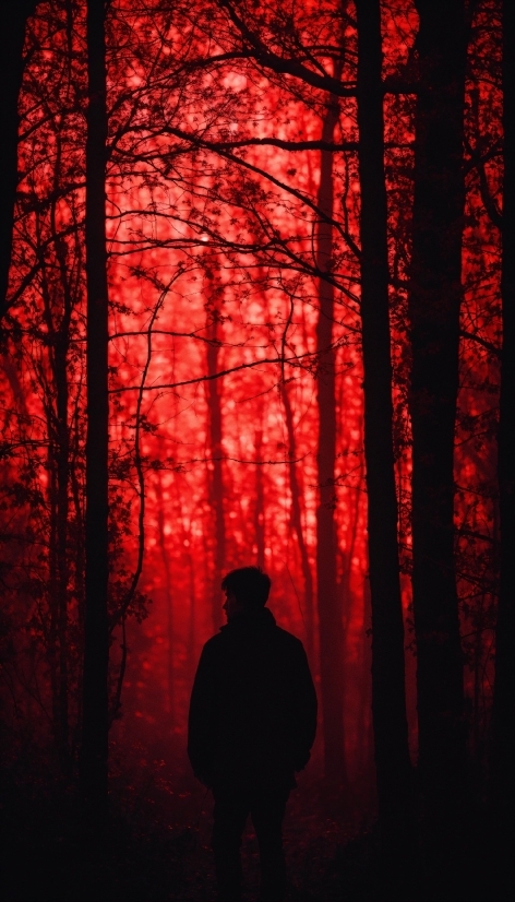 Atmosphere, Plant, Leaf, Nature, Black, People In Nature