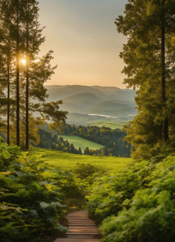 Sky, Atmosphere, Cloud, Plant, Mountain, Natural Landscape