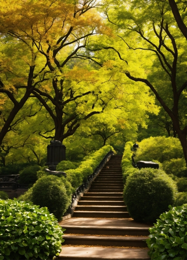 Plant, Natural Landscape, Branch, Yellow, Tree, Grass