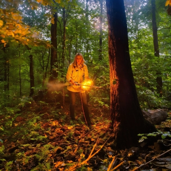 Plant, Plant Community, People In Nature, Tree, Natural Landscape, Wood