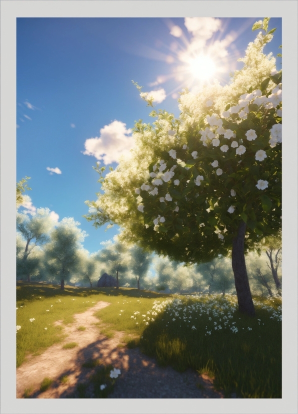 Sky, Cloud, Plant, Flower, Natural Landscape, People In Nature