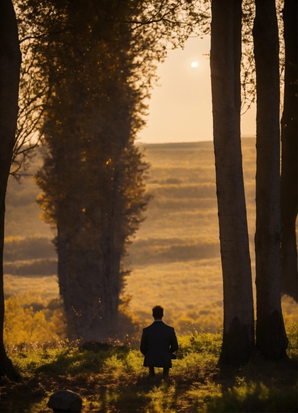 Plant, Atmosphere, Sky, Ecoregion, People In Nature, Wood