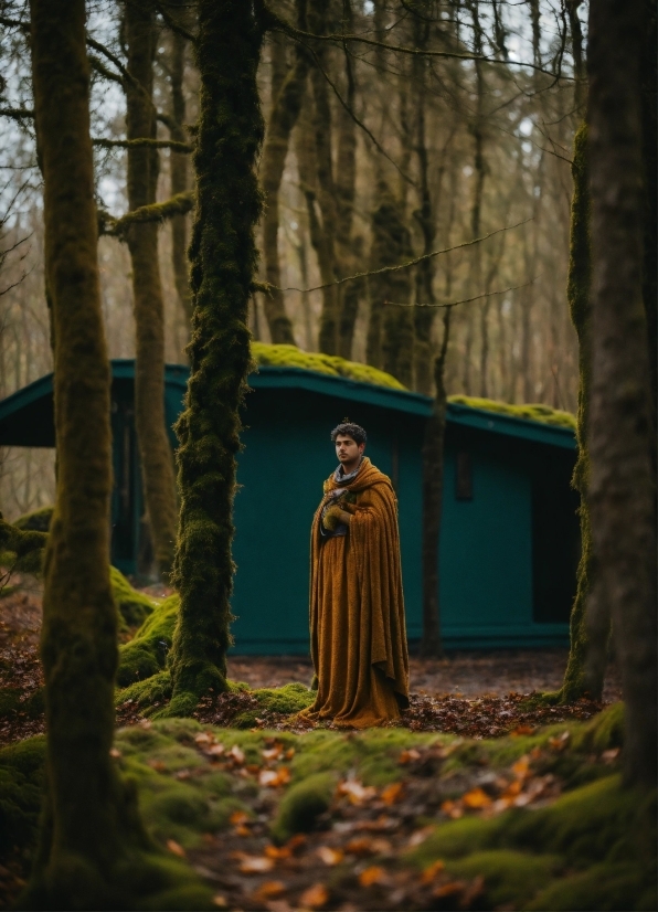 Plant, People In Nature, Wood, Branch, Tree, Sculpture