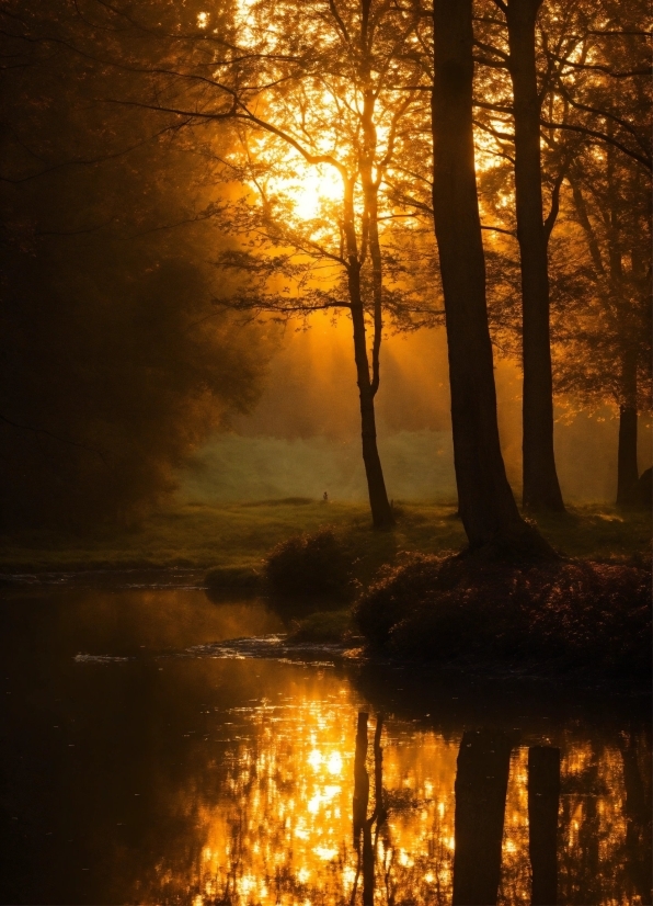 Water, Atmosphere, Ecoregion, Light, People In Nature, Sky