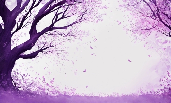 Sky, Atmosphere, Purple, World, Natural Landscape, Twig