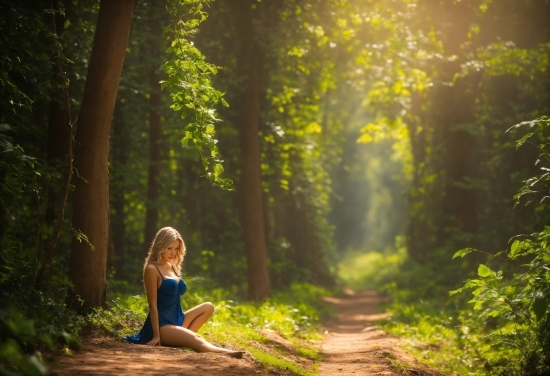 Plant, People In Nature, Natural Landscape, Wood, Branch, Tree