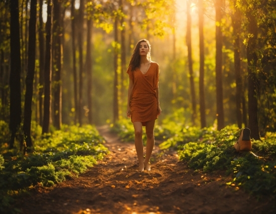 Plant, People In Nature, Tree, Flash Photography, Wood, Natural Landscape