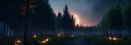 Sky, Atmosphere, Tree, Moon, World, Plant