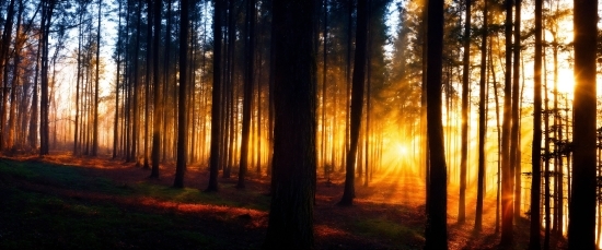 Atmosphere, Plant, Ecoregion, Sky, People In Nature, Natural Landscape