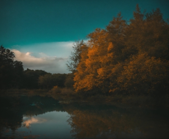 Cloud, Sky, Water, Atmosphere, Natural Landscape, Tree