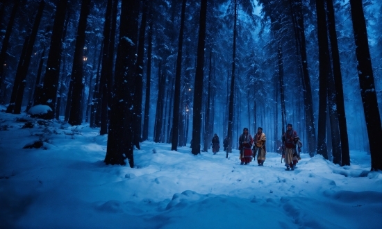 Snow, Plant, People In Nature, Tree, Natural Landscape, Wood