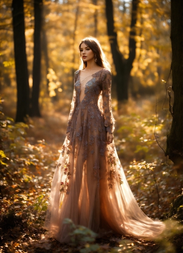 Plant, People In Nature, Flash Photography, Wood, Tree, Gown