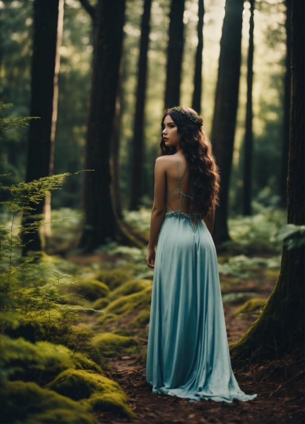 Hair, Plant, Ecoregion, People In Nature, Tree, Flash Photography