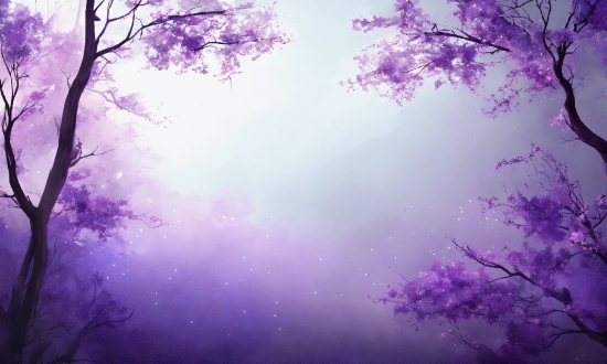 Sky, Atmosphere, Daytime, Purple, Natural Environment, Natural Landscape