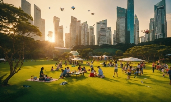 Skyscraper, Building, Sky, Plant, Atmosphere, Daytime