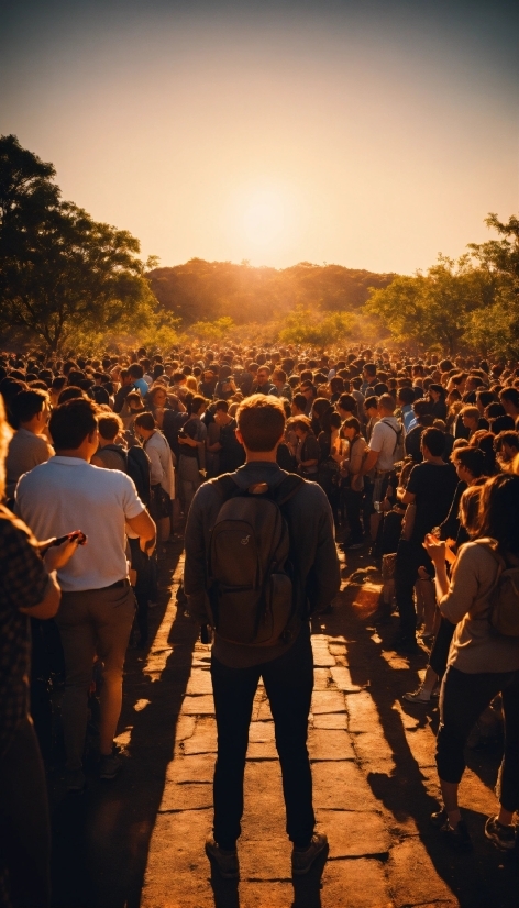 Sky, People In Nature, Tree, Sunlight, Gesture, Crowd