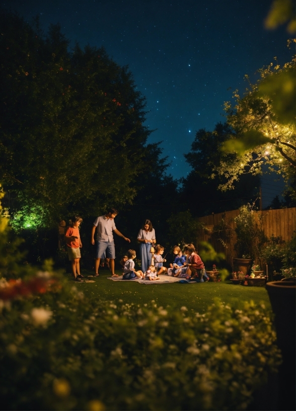 Plant, Sky, People In Nature, Natural Landscape, Flash Photography, Tree