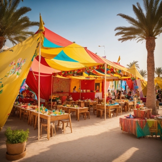 Sky, Table, Plant, Tent, Shade, Tree