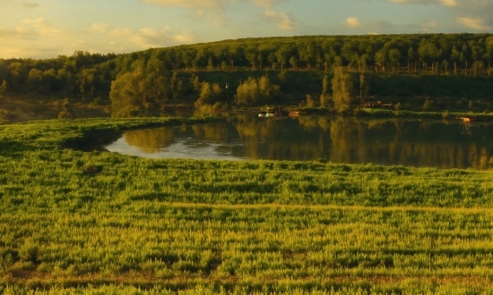 Water, Plant, Cloud, Sky, Ecoregion, Natural Landscape