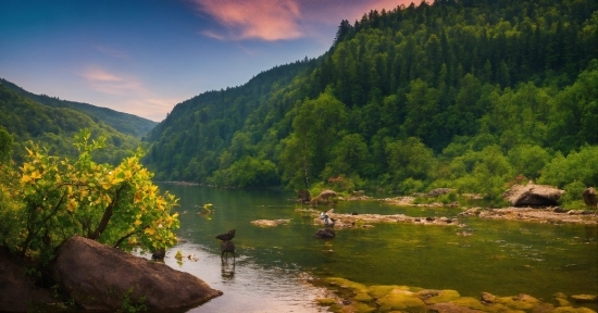 Water, Cloud, Plant, Sky, Mountain, Natural Landscape