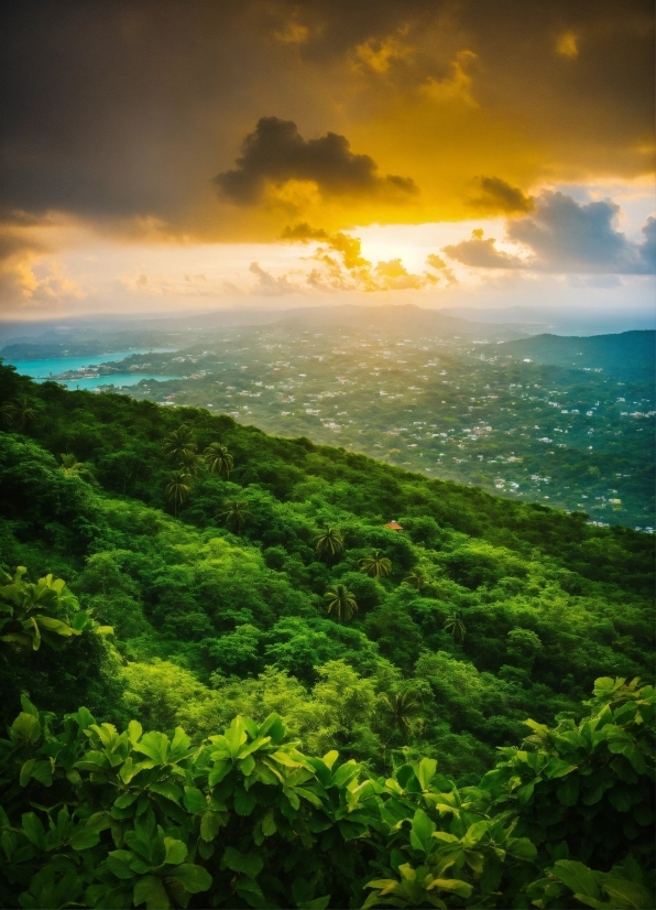 Cloud, Sky, Natural Landscape, Highland, Mountain, Tree