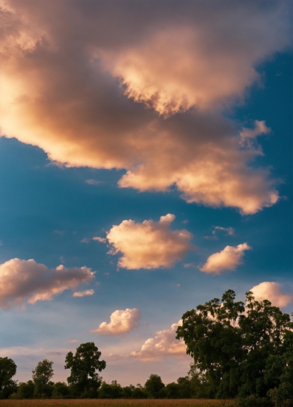 Cloud, Sky, Plant, Atmosphere, Afterglow, Natural Landscape