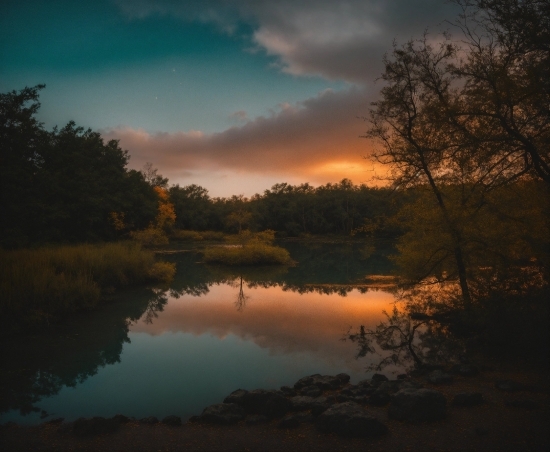 Cloud, Water, Sky, Atmosphere, Plant, Natural Landscape