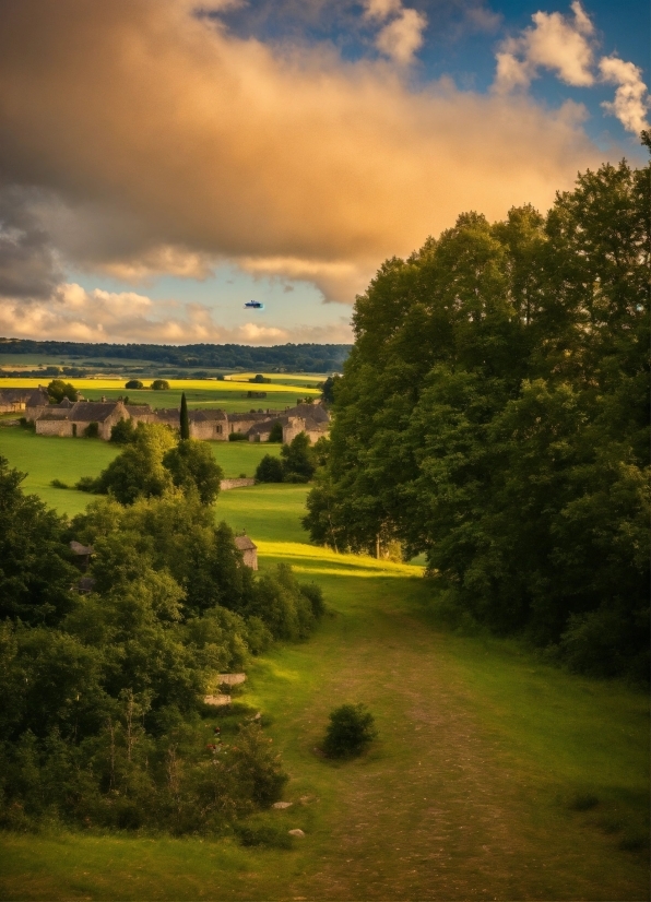 Cloud, Plant, Sky, Natural Landscape, Tree, Land Lot