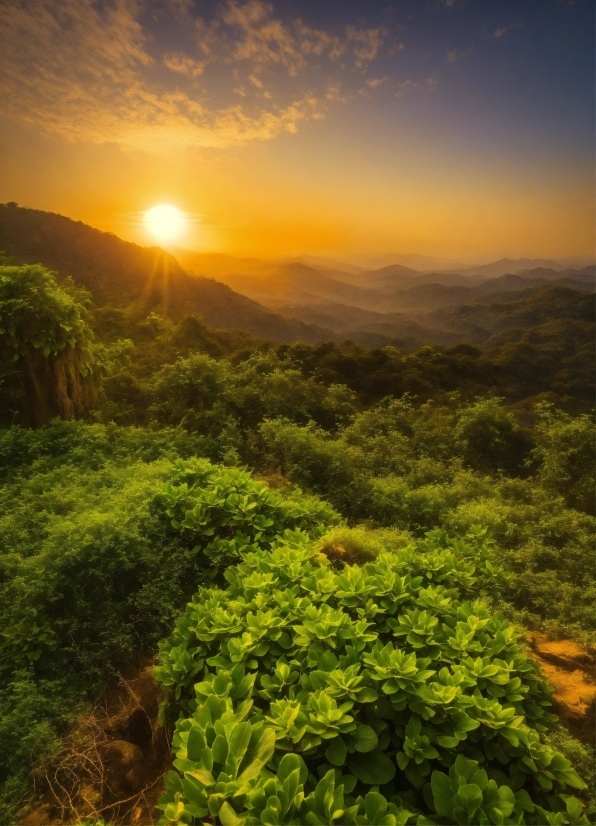 Cloud, Sky, Plant Community, Mountain, Plant, Natural Landscape