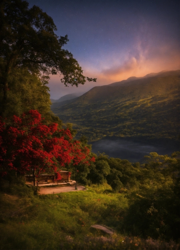 Cloud, Sky, Plant, Atmosphere, Mountain, Water