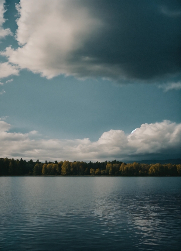 Cloud, Water, Sky, Atmosphere, Plant, Natural Landscape