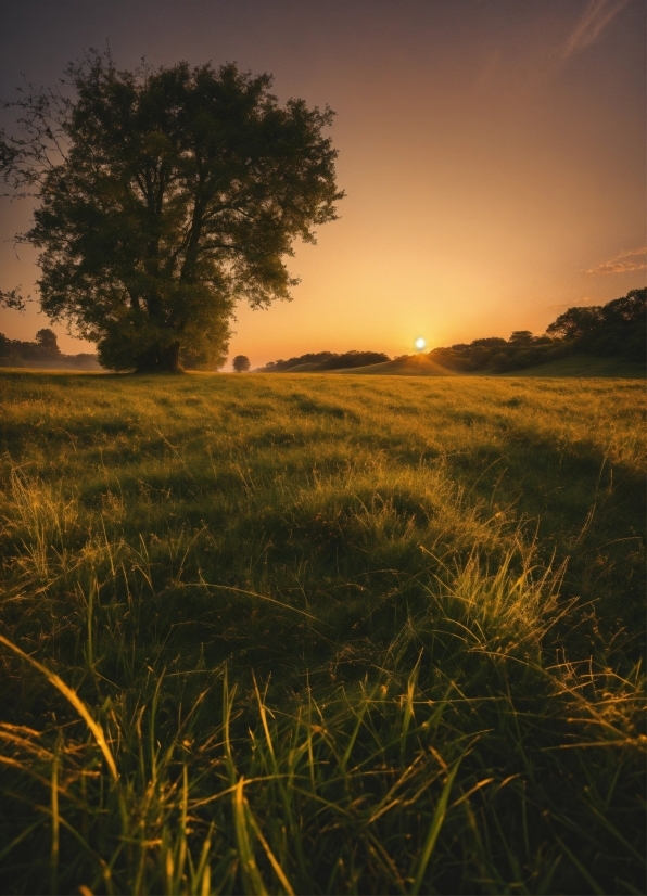 Sky, Atmosphere, Cloud, Plant, Ecoregion, Natural Landscape