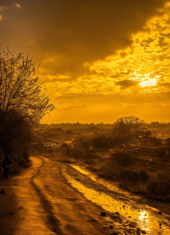 Cloud, Sky, Atmosphere, Ecoregion, Amber, Afterglow