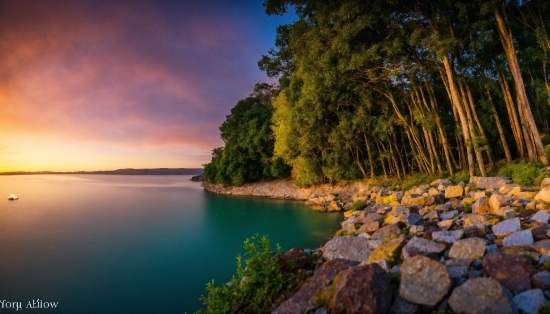 Water, Sky, Cloud, Plant, Water Resources, Natural Landscape