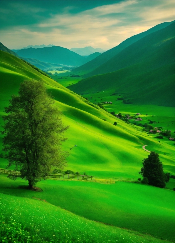 Cloud, Sky, Mountain, Plant, Green, Ecoregion