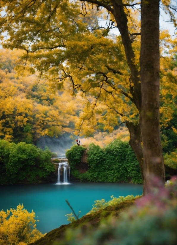 Water, Plant, Sky, Natural Landscape, Yellow, People In Nature