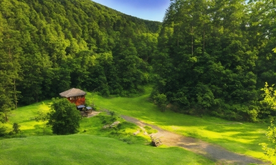 Plant, Mountain, Green, Sky, Natural Landscape, Natural Environment