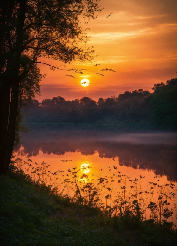 Water, Cloud, Sky, Atmosphere, Water Resources, Plant