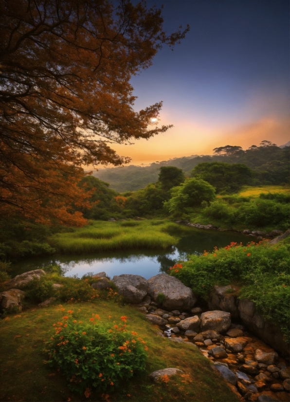 Plant, Cloud, Water, Sky, Water Resources, Natural Landscape