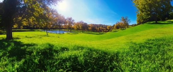 Plant, Daytime, Sky, Green, Ecoregion, Natural Landscape