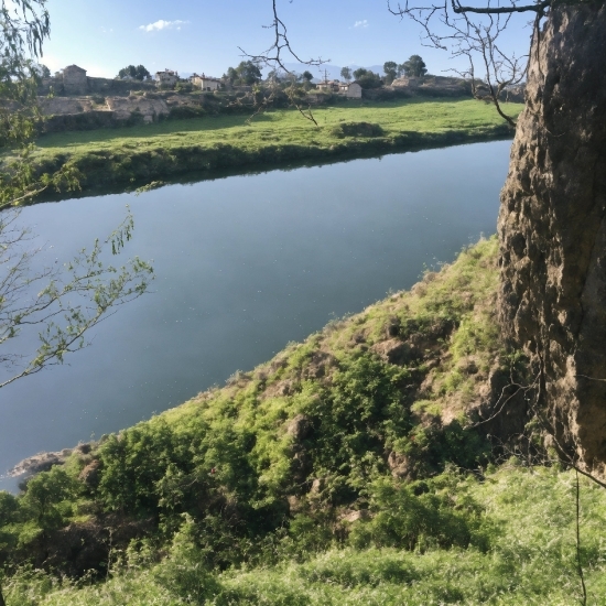 Water, Plant, Sky, Water Resources, Ecoregion, Natural Landscape