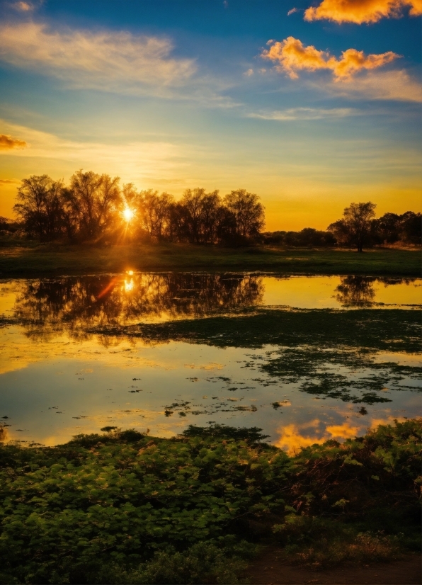 Cloud, Sky, Water, Water Resources, Plant, Ecoregion