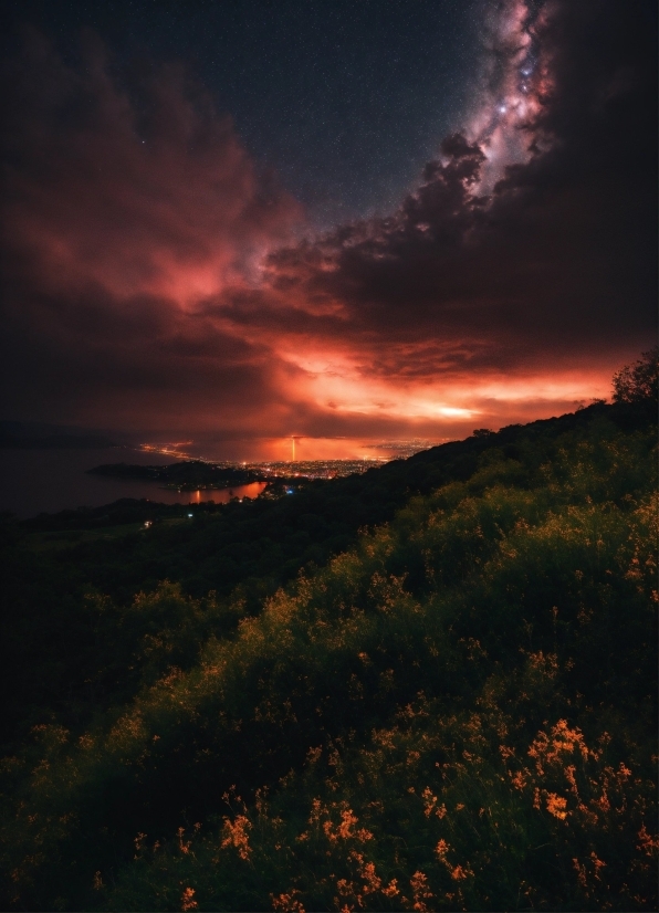 Cloud, Sky, Atmosphere, Plant, Ecoregion, Flower