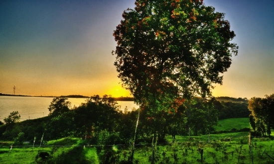 Sky, Plant, Ecoregion, Leaf, Natural Landscape, Natural Environment