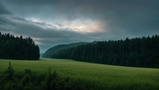 Cloud, Sky, Atmosphere, Plant, Natural Landscape, Tree